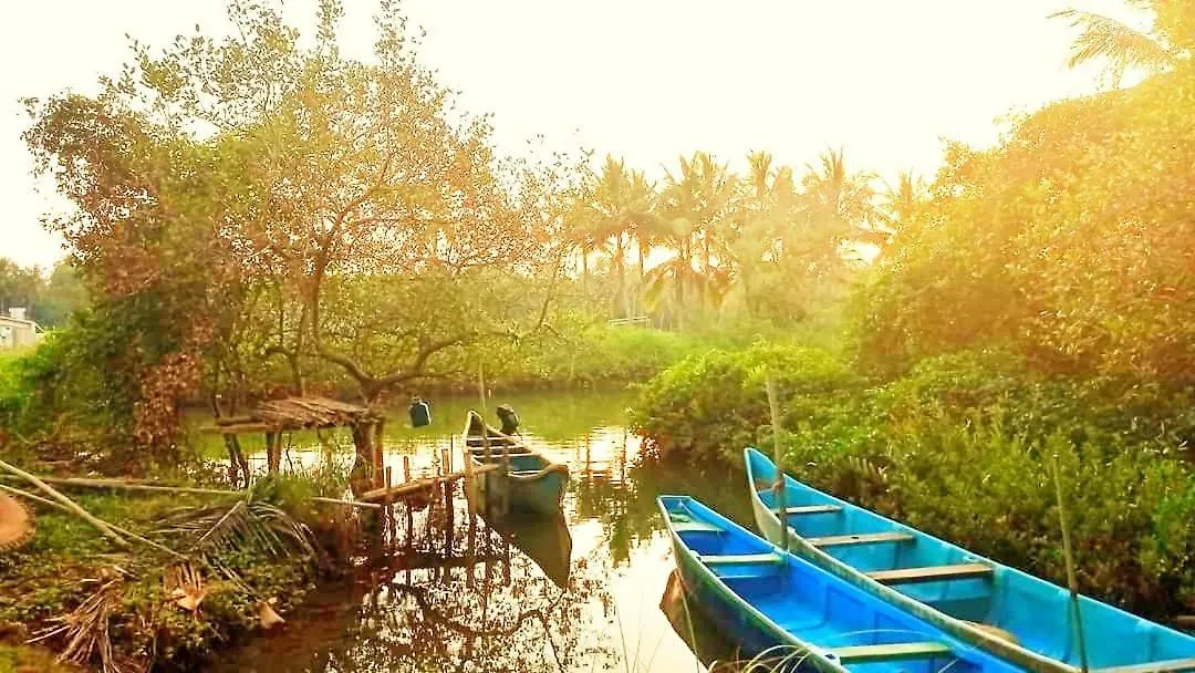 Shruthi'S Aarohi-Nature'S Retreat Mulappilangad