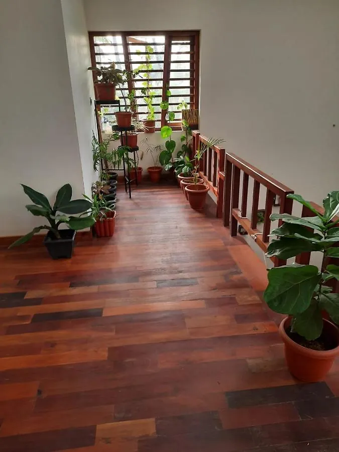 Shruthi'S Aarohi-Nature'S Retreat Mulappilangad India