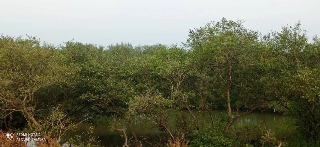 Shruthi'S Aarohi-Nature'S Retreat Mulappilangad 0*,