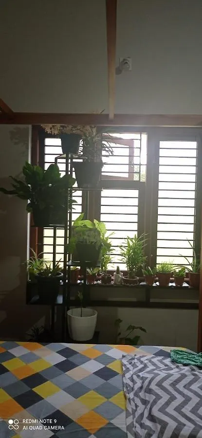 Shruthi'S Aarohi-Nature'S Retreat Mulappilangad