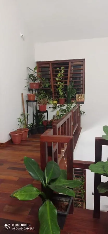 Homestay Shruthi'S Aarohi-Nature'S Retreat Mulappilangad